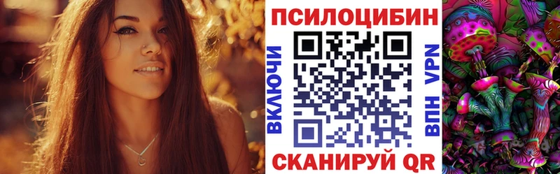 маркетплейс какой сайт  Джанкой  Псилоцибиновые грибы Psilocybe 
